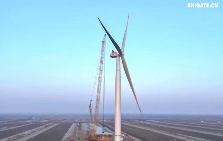 1月11日，全球最大功率等級(jí)的漂浮式風(fēng)電機(jī)組——中國(guó)中車“啟航號(hào)”在山東東營(yíng)風(fēng)電裝備測(cè)試認(rèn)證創(chuàng)新基地吊裝成功，標(biāo)志著我國(guó)在海上超大型風(fēng)機(jī)的探索邁出重要一步。該項(xiàng)目風(fēng)電機(jī)組的配套塔筒是全球直徑最大、重量最重的塔筒型號(hào)，所用鋼板由河鋼集團(tuán)舞鋼公司獨(dú)家提供。  微信圖片_20250220083217.jpg  舞鋼公司深入貫徹集團(tuán)要求，以客戶需求為導(dǎo)向，大力開(kāi)展技術(shù)營(yíng)銷，不斷優(yōu)化營(yíng)銷方案，通過(guò)提供“一攬子”解決方案，滿足高端客戶對(duì)高品質(zhì)產(chǎn)品和未來(lái)發(fā)展的需求，加速由生產(chǎn)型向“制造+服務(wù)”型企業(yè)轉(zhuǎn)變。該項(xiàng)目對(duì)產(chǎn)品抗沖擊性能及表面質(zhì)量有著極為嚴(yán)苛的要求，且交貨期較短，生產(chǎn)難度相當(dāng)大。為確保合同順利交付，舞鋼公司產(chǎn)線各單位協(xié)同聯(lián)動(dòng)，強(qiáng)化工藝和生產(chǎn)過(guò)程控制，攻克了高強(qiáng)度與高延伸率匹配、低溫沖擊韌性匹配等一系列技術(shù)難題，確保了產(chǎn)品各項(xiàng)指標(biāo)全部滿足客戶要求，并按期交付客戶。  微信圖片_20250220083224.jpg  “啟航號(hào)”20MW漂浮式海上風(fēng)電塔筒是專門(mén)為20MW及以上海上漂浮式風(fēng)機(jī)提供系統(tǒng)解決方案而設(shè)計(jì)的，是全球最大功率漂浮式風(fēng)電機(jī)組的配套塔筒，總高度為141.15米，最大直徑12米，重量達(dá)到了1576噸。